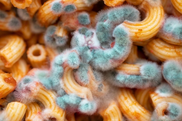 Pasta with mold spoiled pasta closeup green mold