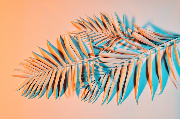 Pastel colored palm leaves