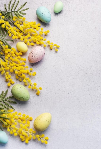 Pastel Easter Eggs and Yellow Mimosa Flowers on a Light Grey Background