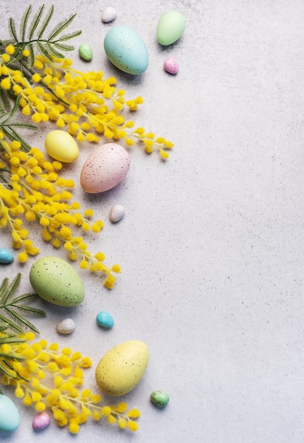 Пасхальные яйца и желтые цветы мимозы на светло-сером фоне