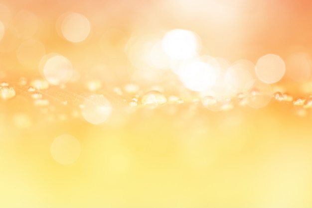 Pastel orange bokeh background