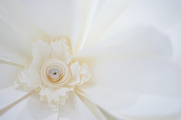 Photo pastel paper flower cream white pink green blue colour with hand craft art on the white wood plate background