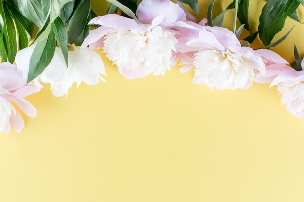 Pastel pink peony flowers bouquet on yellow