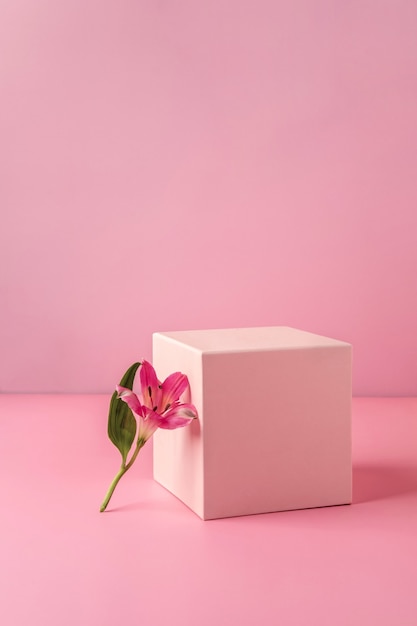 Pastel pink podium to show cosmetic products with Alstroemeria flower on pink background.