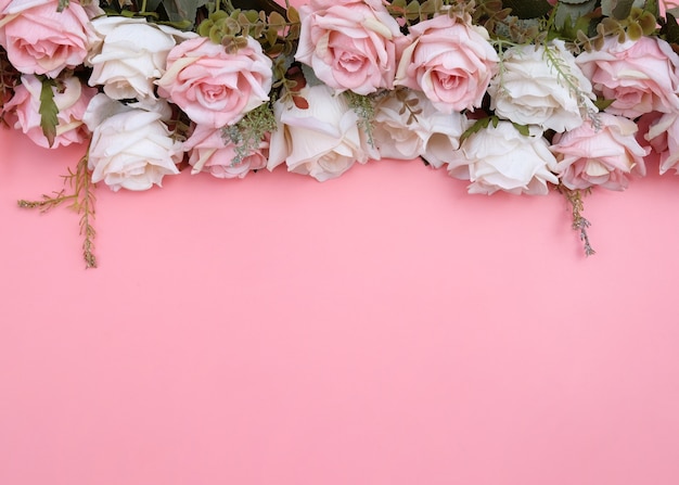 Pastel pink rose flowers isolated on pink