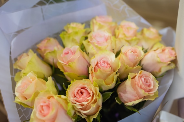 Pastel roses texture top view close up