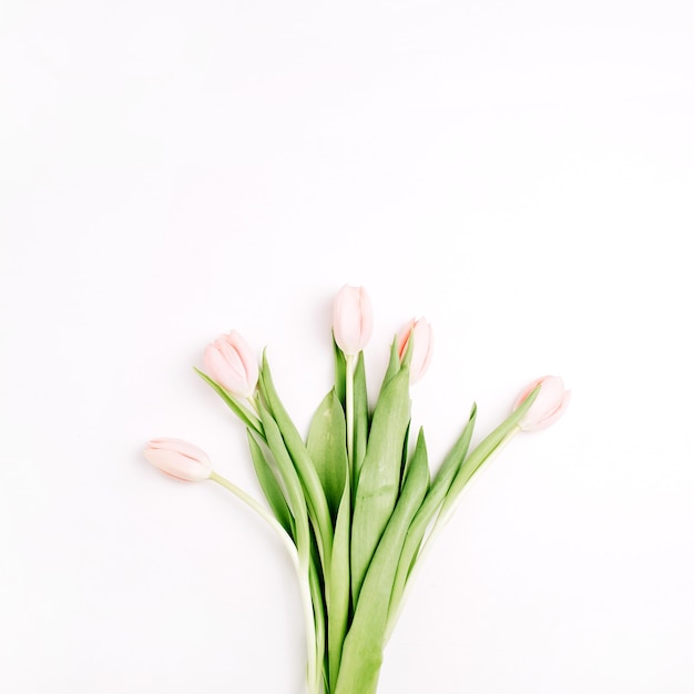 Pastel roze tulp bloemen boeket geïsoleerd op een witte achtergrond. Platliggend, bovenaanzicht