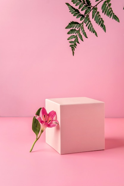 Pastelroze podium om cosmetische producten te tonen met varenbladeren en bloemen Alstroemeria op roze achtergrond.