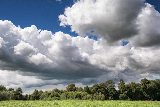 Pastoral village landscape in Belarus