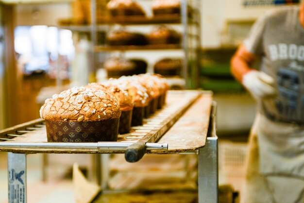 Pastry baker artisan baking small group of italian panettone sweet bread typical for christmas time