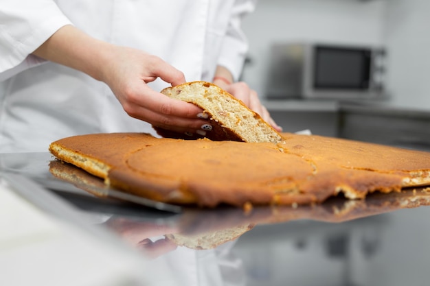 Pastry chef cuts out a cake cake from a biscuit