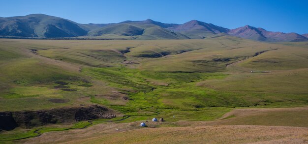 Pasture nomads