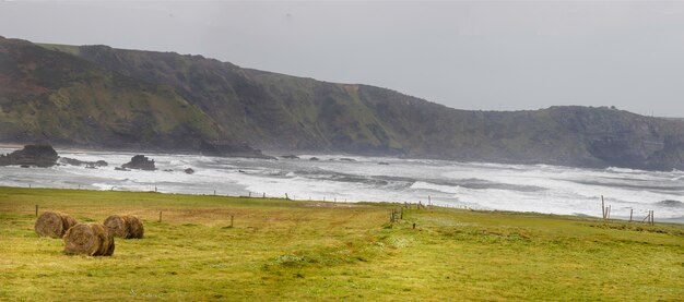 Pastures of green juicy grass with the Cantabrian Sea and cliffs