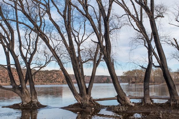 Foto patagonia argentina - neuquen