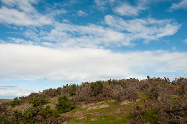 파타고니아 풍경 Chubut Province 파타고니아 아르헨티나