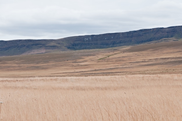 patagonia steppes countryside argentina