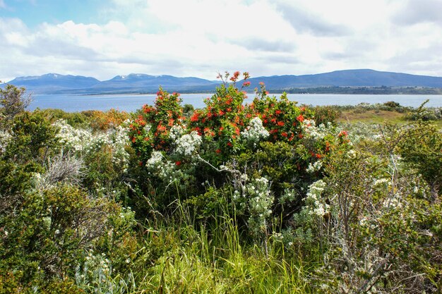 Photo patagonia