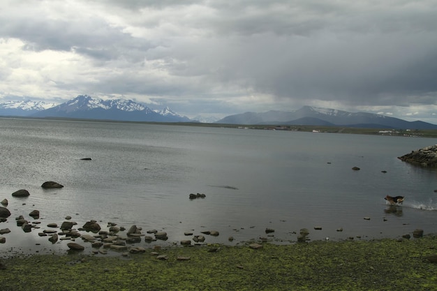 Patagonië vanaf de veerboot vanuit Puerto Natales