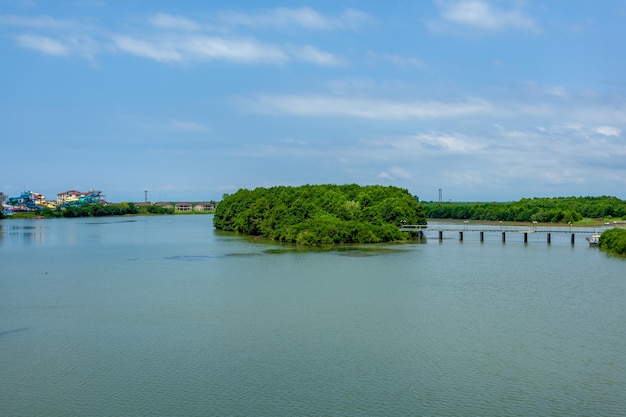 Patara Enguri River in Anaklia, Georgia. Landscape. Tourism