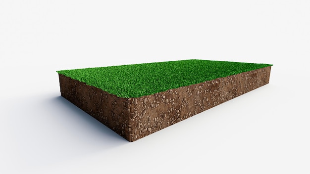 Patch of grass field with healthy soil in rectangular shape 3d illustration