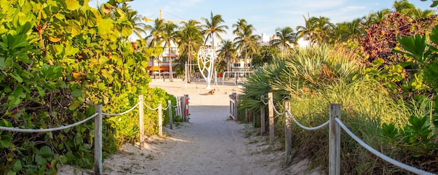 Path access to south beach in miami florida