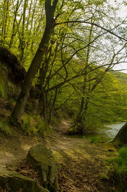 Path along river