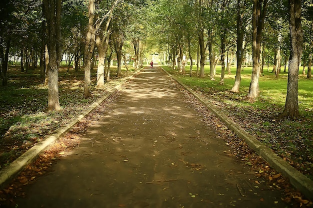 パス秋の公園/秋の風景、秋の木々や葉の黄色い公園、都市公園の美しい晴れた日。秋