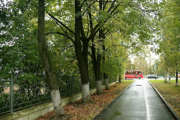 パス秋の公園/秋の風景、秋の木々や葉の黄色い公園、都市公園の美しい晴れた日。秋