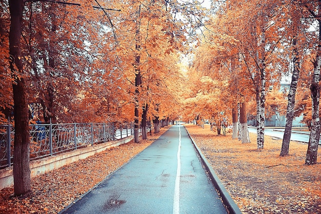 path autumn park / autumn landscape, yellow park in autumn trees and leaves, a beautiful sunny day in the city park. the fall