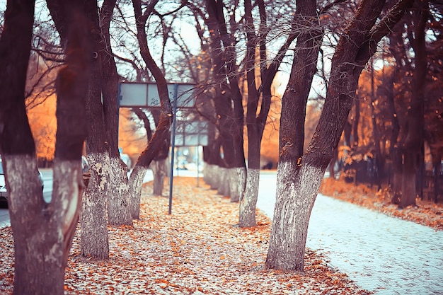 path autumn park / autumn landscape, yellow park in autumn trees and leaves, a beautiful sunny day in the city park. the fall