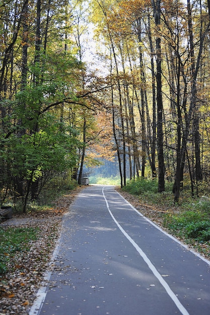 The path in the autumn park - autumn landscape