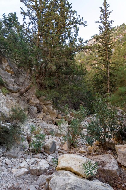 Path in avakas gorge Hiking in the gorge on an autumn day