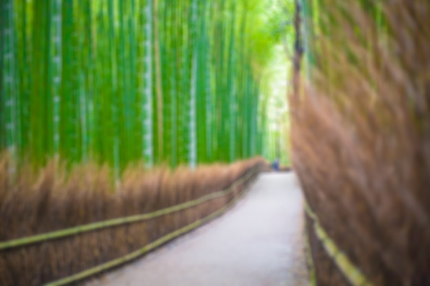 대나무 숲의 경로, 아라시야마, 교토, 일본 배경 흐림