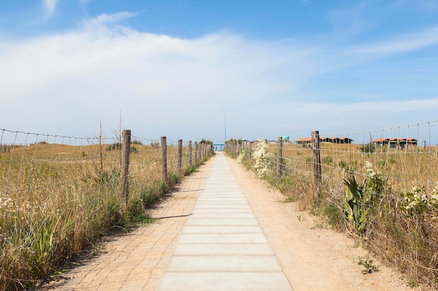 Path to the beach