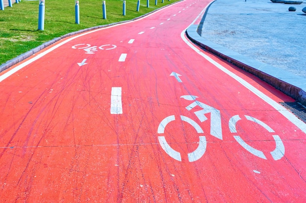 The path for cyclists in the city park highlighted in red