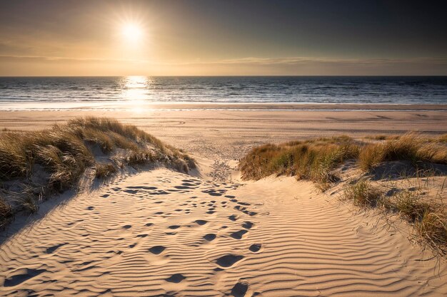 path between dunes to sea beach