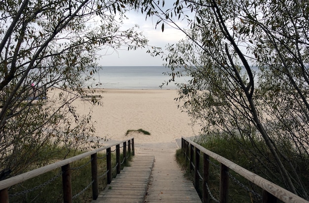 Path to the empty sandy sea beach by wooden stairs going through the trees