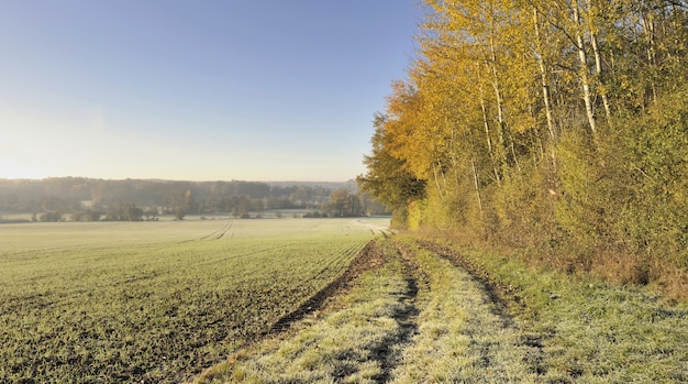 Path frozen crossing field