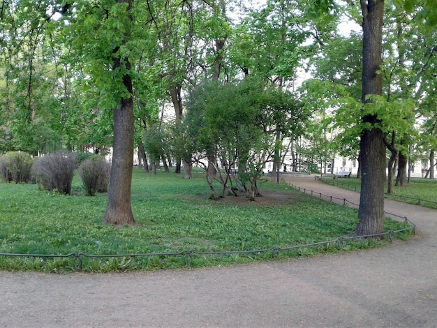 Фото Тропа в парке зелёный газон деревья и кустарники пустынный в утреннем саду