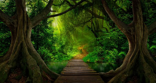 Photo a path in the jungle with a tree trunk