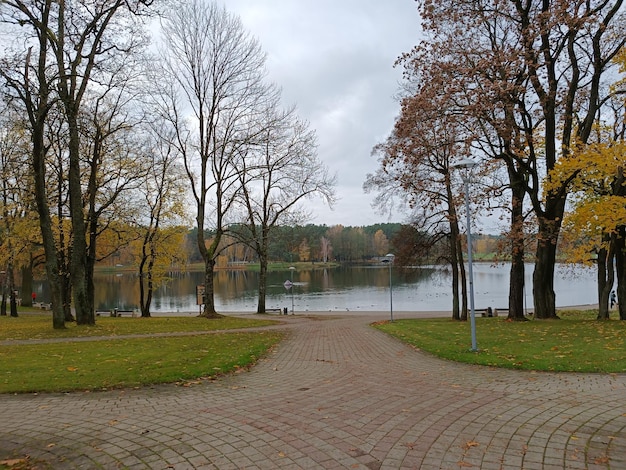 A path leading to a lake with trees in the foreground and a sign that says'lake'on it