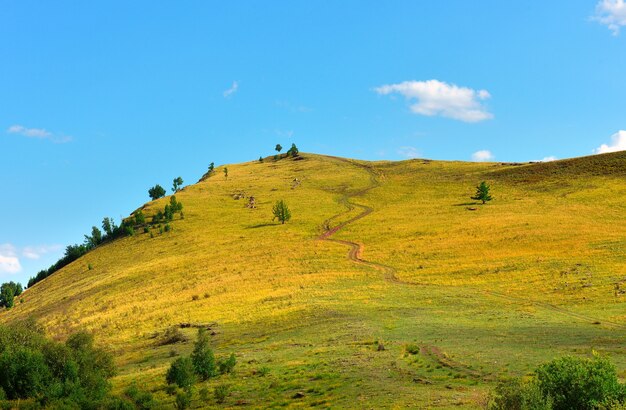 青い曇り空の下、夏の丘の頂上へと続く小道。シベリア、ロシア