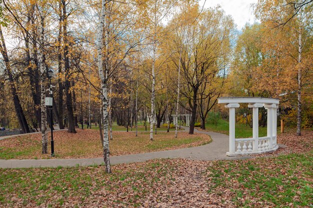 a path leads through a park with a gazebo in the background