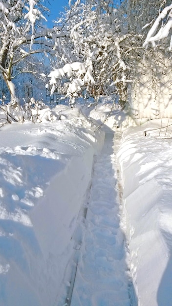 Sentiero realizzato in alti cumuli di neve