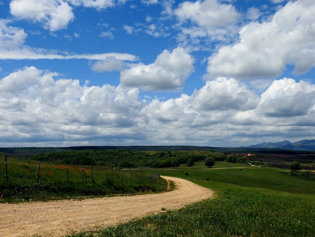 A path between meadows