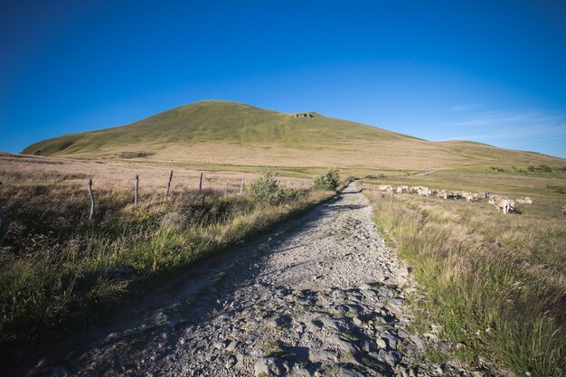 Path in the morning in front of the puy de la tache in auvergne