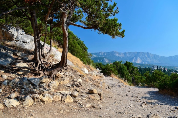 Path in mountains. Beautiful landscape in summer in Crimea. Simeiz. Tourism in the South. Travelling to Russia.