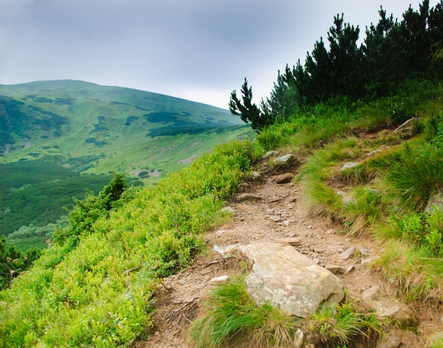 Path on the mountains in nasty day