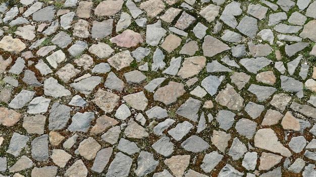 Path of natural stones and moss, natural texture wallpaper