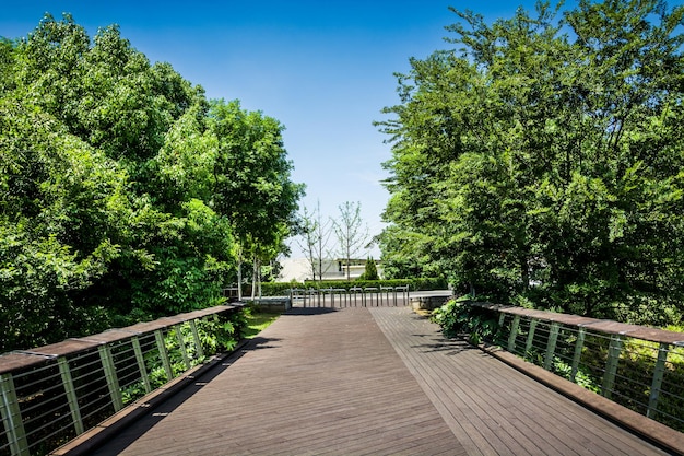 Path and nice city park with green trees in spring